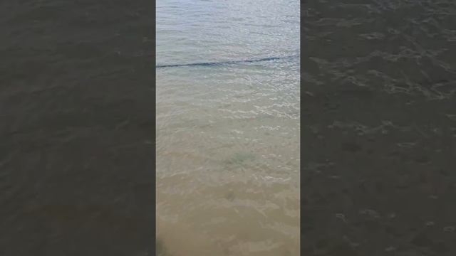 Море Урзуф нашла грязный пляж 5 августа 2019 смотреть онлайн