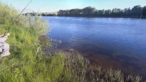 Ловля леща на реке Ахтуба. Тестируем прикормки ALLVEGA.