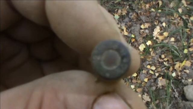 ЕЩЕ РАЗ В ЛЕС И СНОВА МАНЕТОСЫ смотреть онлайн