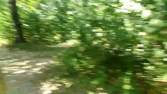 Семейный отдых за городом// Пуща Водица// Путешествие на трамвае смотреть онлайн