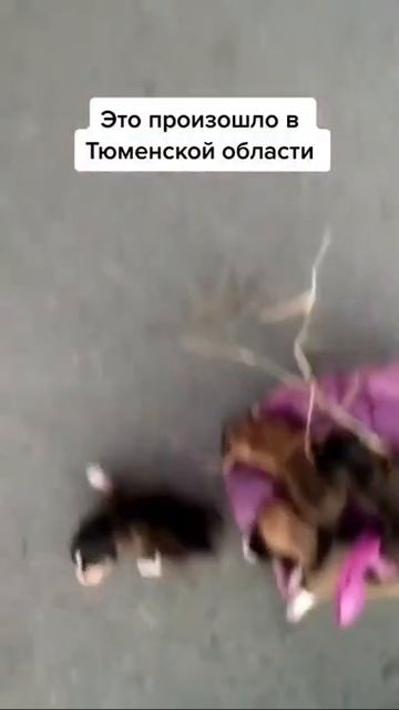 Я не знаю какое название дать этому видео! ЖЕСТЬ! #shorts