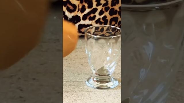 Как сделать Холодный кофе #жизньвиталииgiovanna смотреть онлайн