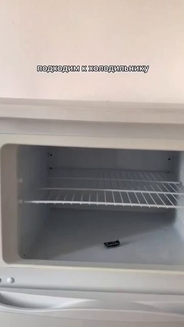 Краш тест Arduino #shorts #ардуино #электроника #dht11 #arduino #arduinoprojects смотреть онлайн