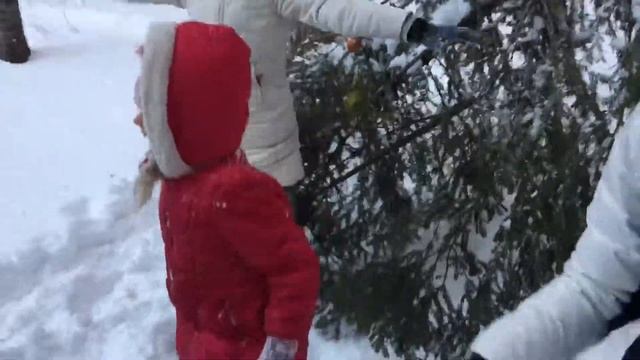 Комаров, Комашкина, Ети, Yeti . Три сини і донька 5* смотреть онлайн