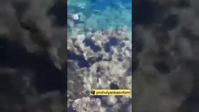 Готель Тіволі 4*. Огляд пляжу. Єгипет, Шарм ель Шейх, Хадаба смотреть онлайн