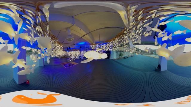 빛의 바다 - Sea of light (360VR) смотреть онлайн