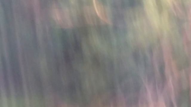 Задержание в Жирновске! смотреть онлайн