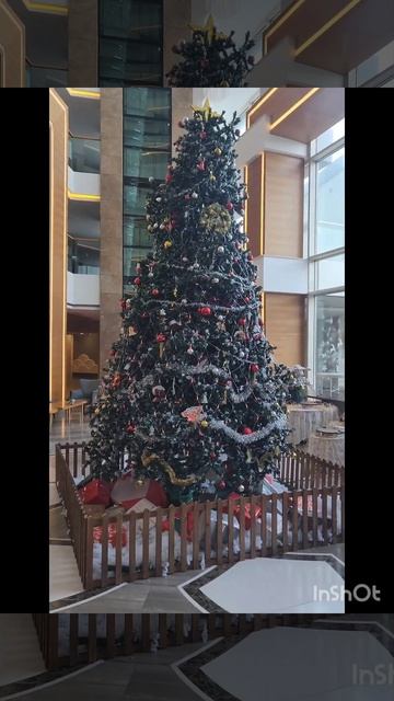 С НОВЫМ ГОДОМ!🥳🎅🐲🎄ОТЕЛЬ ШЕРВУД ЛАРА🌞#напмжванталию #переездвтурцию #анталия #новыйгодбудет смотреть онлайн