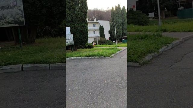Санаторий Долинск смотреть онлайн