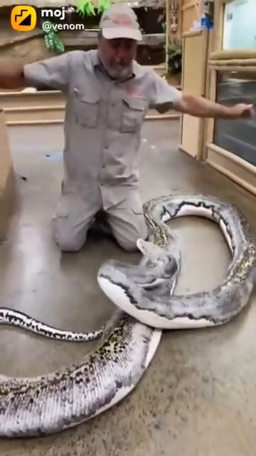 scary Dead snake ###status king смотреть онлайн