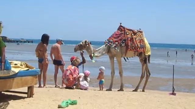 2018 Зарубежье32 Египет смотреть онлайн