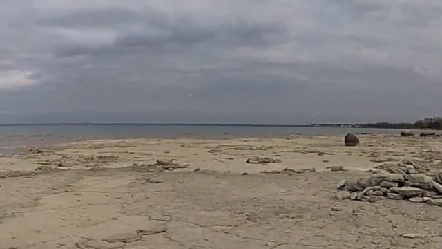 If a Tree Falls in the Forest Ontario (my take on things) смотреть онлайн