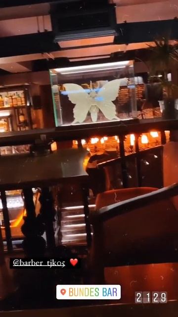 сабринаи назри кати шавхарш ресторан смотреть онлайн