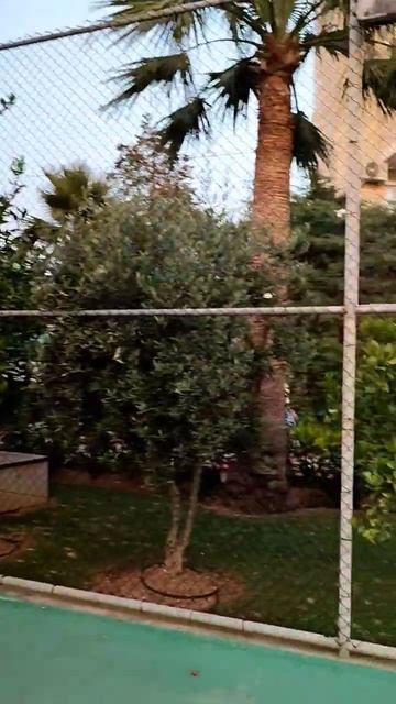 #турция #аланья # отдых#июль2023 #doganay#beach club#hotel смотреть онлайн