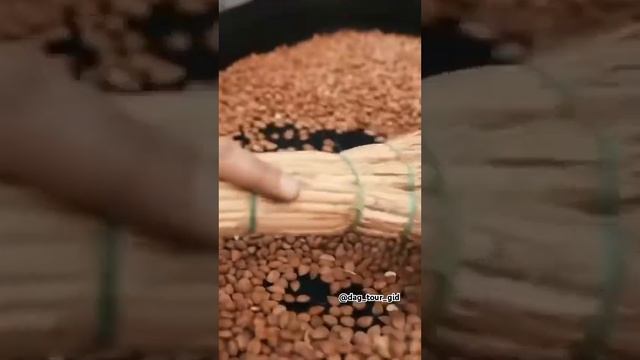 Поехали с нами в горы🏔️ 📞89898614458 #турыподагестану #dagestan #travel смотреть онлайн