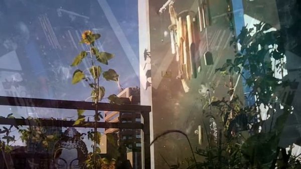 Mika - Relax, Take it easy