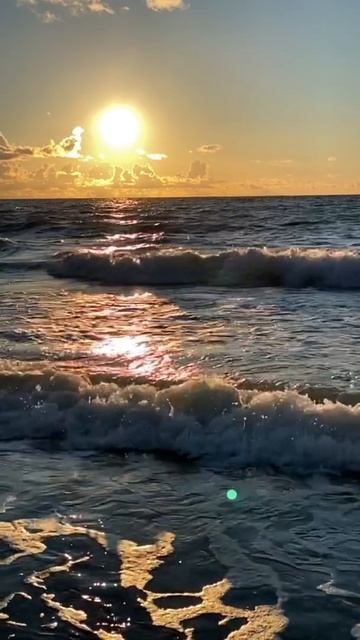 Зеленоградск. Закаты. Июль. смотреть онлайн