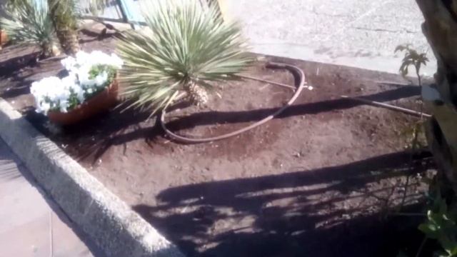 Мы в Израиле. Эйлат, набережная, отель "Царица Савская", ч.2. смотреть онлайн