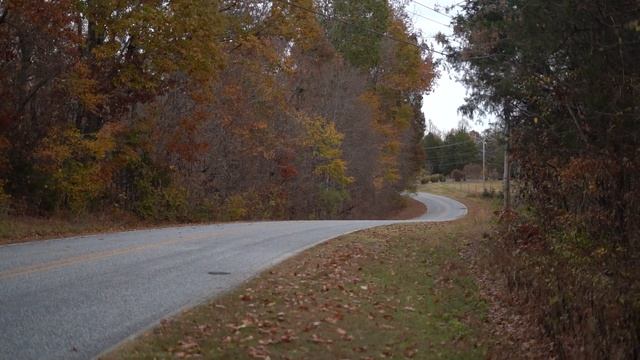 STRAIGHT PIPED E36 M3 RIPPING BACKROADS (PURE SOUND) смотреть онлайн