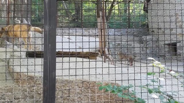Алушта 2018(20) смотреть онлайн