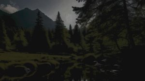 Звуки озера ночью для снятия стресса