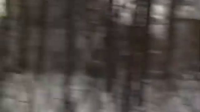 1 этап Кубка Пензенской области смотреть онлайн