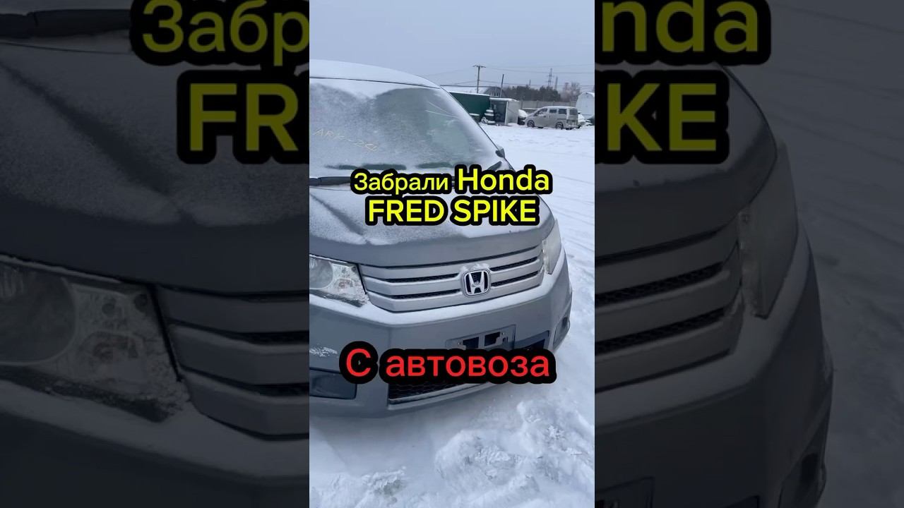 Успели получить автомобиль с автовоза до нового года смотреть онлайн