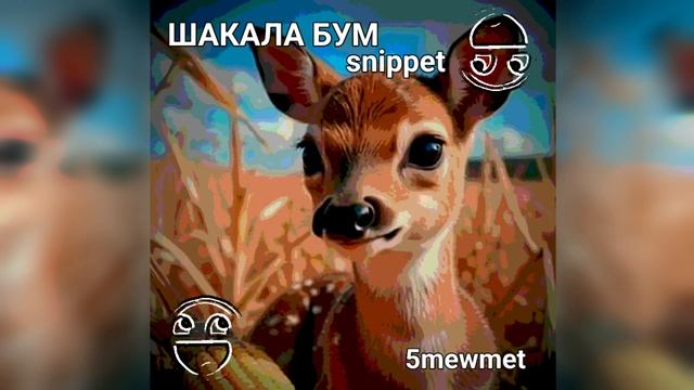ШАКАЛА ШАКАЛА ШАКАЛА БУМ [snippet] - 5mewmet смотреть онлайн
