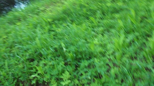 DSCN7861 смотреть онлайн