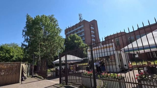 Зеленоградск город кошек. смотреть онлайн