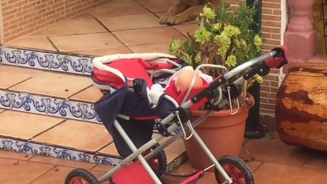 После дождика - в бассейн! Испания, Лириа (Валенсия). Частный дом с участком. 18.05.2017, 16:47 смотреть онлайн