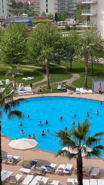 Наконец-то анимация добралась и до Сочи Парк отеля. #отпуск2024 #сочи #отель #сочипаркотель смотреть онлайн