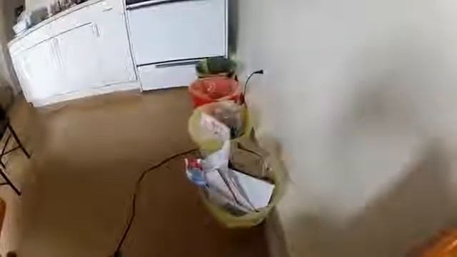 Русская Америка. Часть 13. Мусор в США. смотреть онлайн