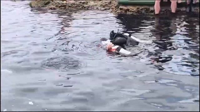 Тарханкут. Обзор. Июль 2024.#крым #крым2024 #море #черноморское #красота  #тарханкут #отдых2024