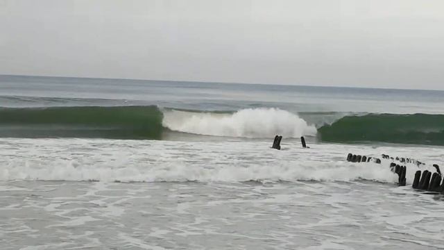 10.02.2019. Пионерский курорт. смотреть онлайн