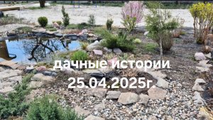 Дачные истории 25.04.2025г. Растения около пруда. Какие растения опасны для сада.
