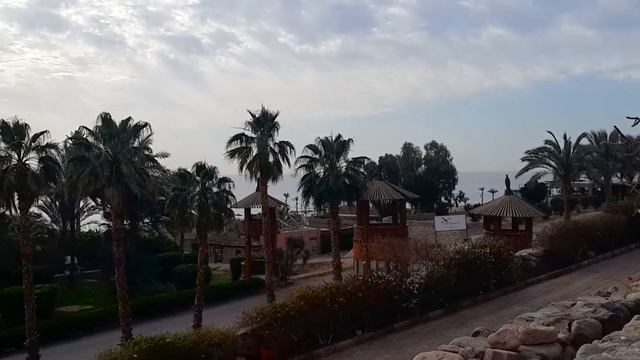 Египет отель Egypt Beach Hotel Queen Sharm Resort 4