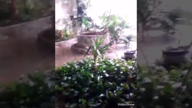 На море/встреча с лучшей подругой vs с однокласницей смотреть онлайн