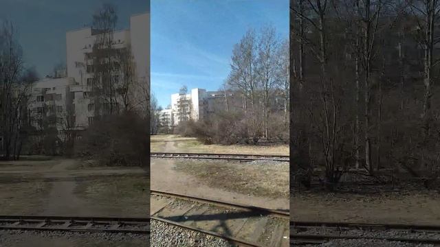 Сестрорецк, солнечное утро смотреть онлайн