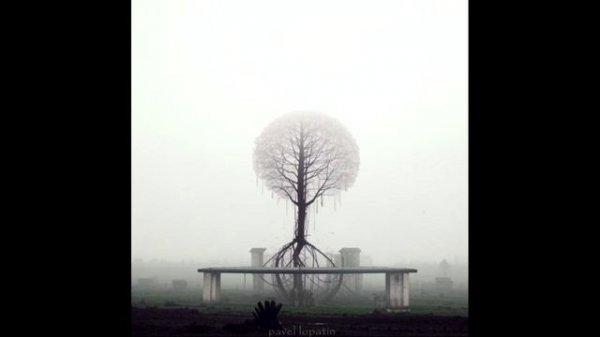 Pavel Lopatin - dark world. beautiful absolutely [single]