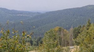 Карпаты,Яремче,Буковель отдых 2020