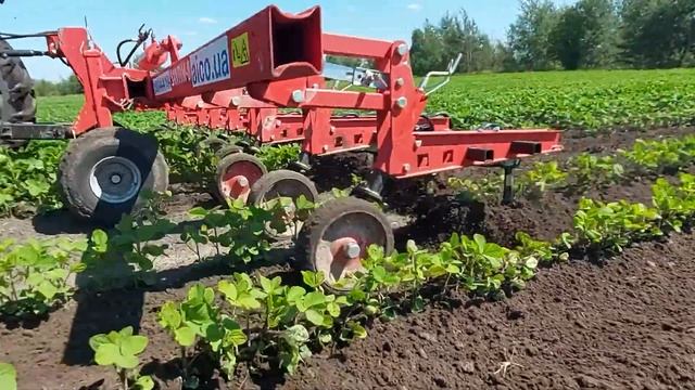 YTO 1024 + SANTIM8/ Міжрядний обробіток сої/ #biosojabonen #ilchischin смотреть онлайн