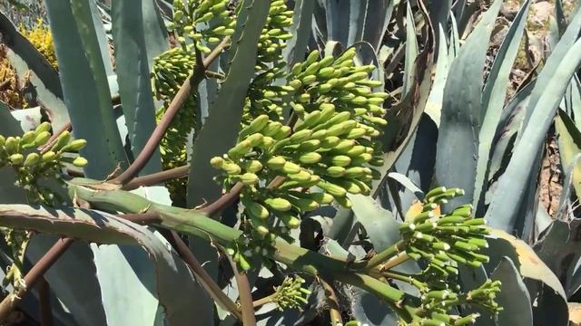 Отпуск в Греции смотреть онлайн