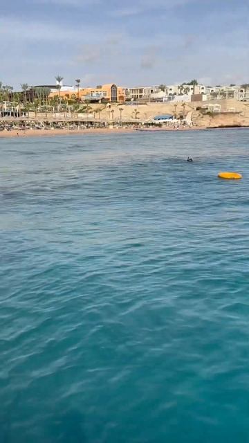 Жаркая зима в Египте. Hotel Sierra. Red Sea. Sharm el Sheikh. Egypt #egypt #sea #animation смотреть онлайн