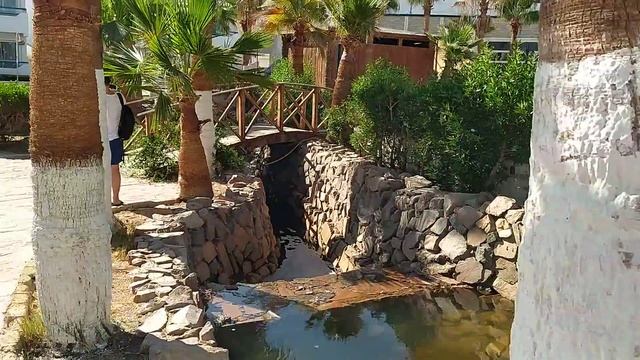 Dreams Beach Resort 5*.(ноябрь 2020) От ресепшн к номеру. смотреть онлайн