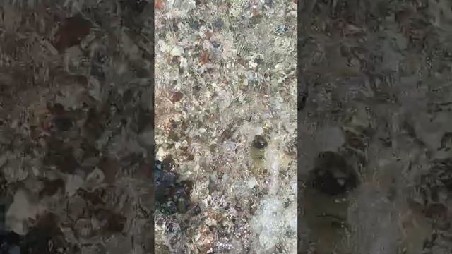 25 августа 2024 г. смотреть онлайн