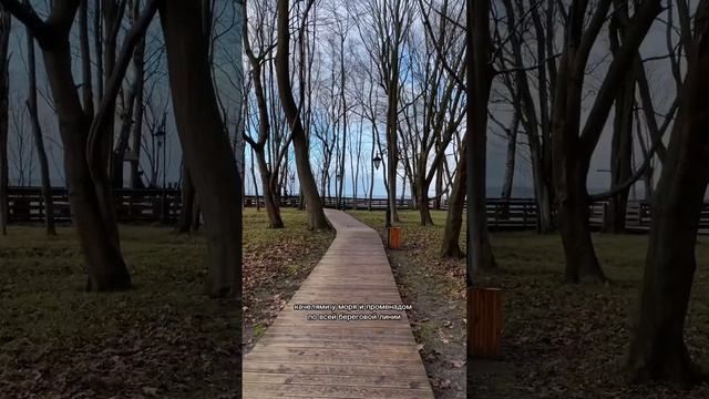 Поселок, в котором хотел бы жить каждый и билеты со скидкой от @gorbilet смотреть онлайн