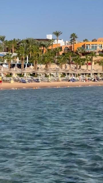 Жаркая зима в Египте. Hotel Sierra / Savoy. Sharm el Sheikh. December 2023. смотреть онлайн