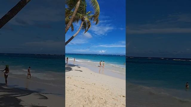 Пляж отеля Riu Palace Bavaro смотреть онлайн