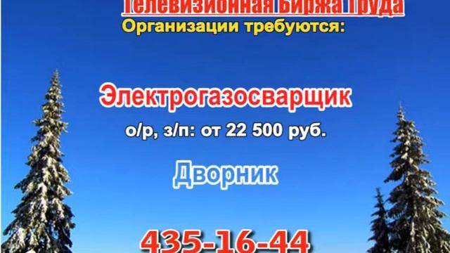 05 февраля _13.15_Работа в Нижнем Новгороде_Телевизионная Биржа Труда смотреть онлайн
